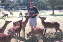The temple of the aggressive deer